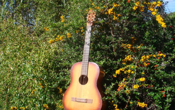 Gitara  z Dolnośląskiej Fabryki Instrumentów Lutniczych Defil w Lubinie