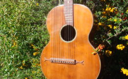 Harp_guitar-1_003
