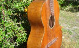 Harp_guitar-1_005