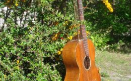 Harp_guitar-1_006