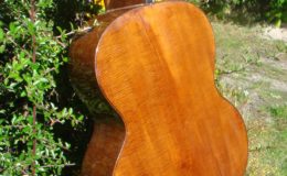 Harp_guitar-1_010