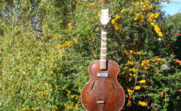 Kopoczek-Alfred-ALKO-2_001