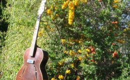 Kopoczek-Alfred-ALKO-2_002