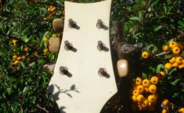 Kopoczek-Alfred-ALKO-2_004