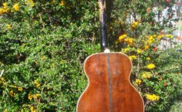 Kopoczek-Alfred-ALKO-2_005