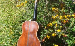 Kopoczek-Alfred-ALKO-2_007