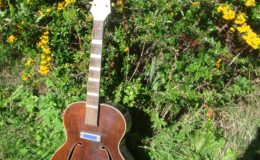 Kopoczek-Alfred-ALKO-2_008