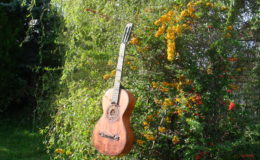 Meinel-Herold-4__002