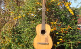 Salvador-Ibanez-Hijos_002