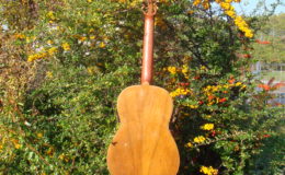 Salvador-Ibanez-Hijos_003