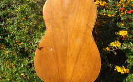 Salvador-Ibanez-Hijos_004