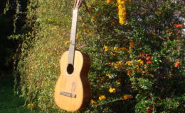 Salvador-Ibanez-Hijos_005