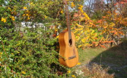 Salvador-Ibanez-Hijos_006