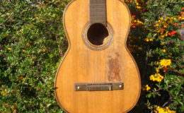 Salvador-Ibanez-Hijos_007