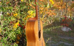 Salvador-Ibanez-Hijos_008