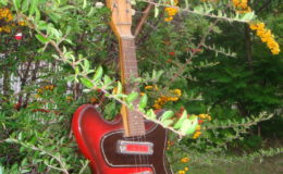 defil-mandolina-003