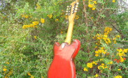 defil-mandolina-006