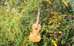 gitara-skrzypce_nn20_001