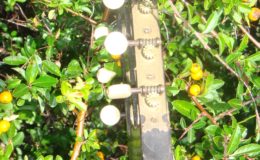 gitara-skrzypce_nn20_002