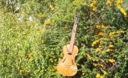 gitara-skrzypce_nn20_003