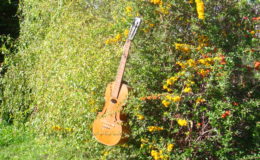 gitara-skrzypce_nn20_004