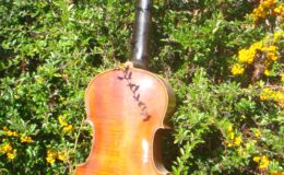 gitara-skrzypce_nn20_008