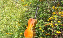 gitara-skrzypce_nn20_009