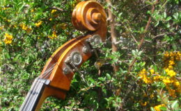 johanes-rubner1980-2-004