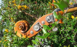 johanes-rubner1980-2-007