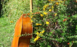 johanes-rubner1980-2-011