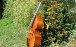 johanes-rubner1980-2-012