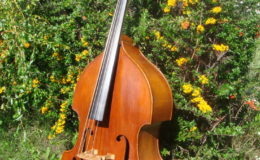 johanes-rubner1980-2-013