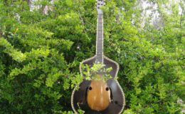 Cygańska Francuska (1)