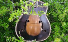 Cygańska Francuska (2)