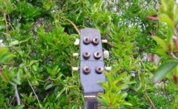 Cygańska Francuska (3)