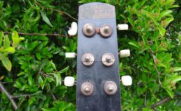 Cygańska Francuska (8)