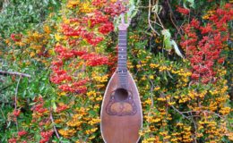 Ligyrofon mandolina (1)