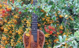 gitara secesyjna (2) – Kopia