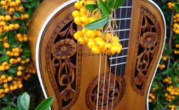 gitara secesyjna (8) – Kopia