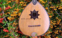 ukulele z gwiazdą rezonansową (2)