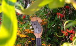 ukulele z gwiazdą rezonansową (3)