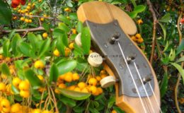 ukulele z gwiazdą rezonansową (4)