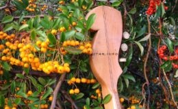 ukulele z gwiazdą rezonansową (6)