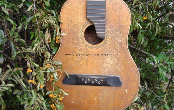 Ukraińska Українська гітара