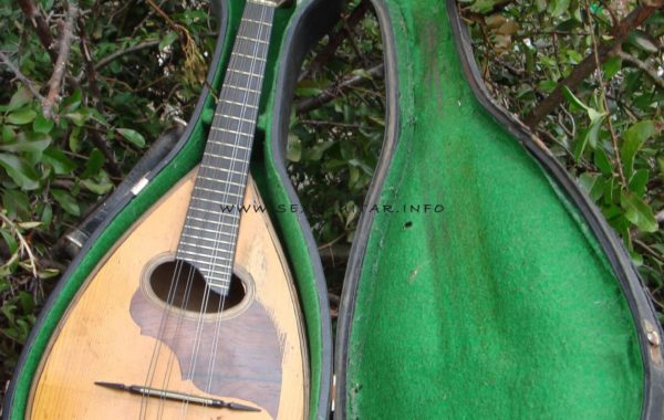 Mandolina мандоліна