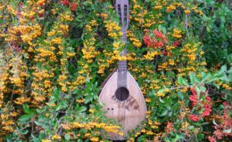 mandolina 2 otwory (1)