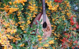 mandolina 2 otwory (2)