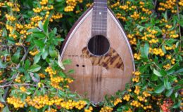 mandolina 2 otwory (3)