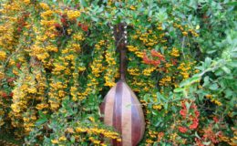 mandolina 2 otwory (5)