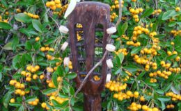 mandolina 2 otwory (6)